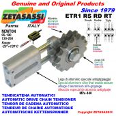 AUTOMATIC LINEAR CHAIN TENSIONER ETR1 with idler sprocket model RS-RD-RT Newton130:250-95:190
