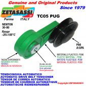 AUTOMATIC ARM BELT TENSIONER TC05PUG with rim pulley Newton30:80