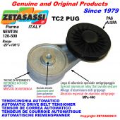 AUTOMATIC ARM BELT TENSIONER TC2PUG with rim pulley Newton120:500