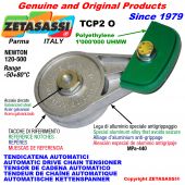 AUTOMATIC ARM CHAIN TENSIONER TCP2 with chain slider oval head Newton120:500