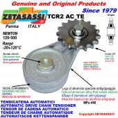 AUTOMATISCHE DREH KETTENSPANNER TCR2ACTE mit verhärteter Kettenräder - KettenRadsätze ACTE Newton120:500