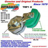 AUTOMATIC ARM CHAIN TENSIONER TRP1 with chain slider oval head Newton50:200-50:210-30:175