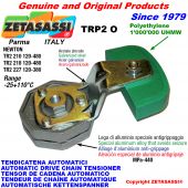 AUTOMATIC ARM CHAIN TENSIONER TRP2 with chain slider oval head Newton120:480